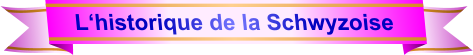 L‘historique de la Schwyzoise