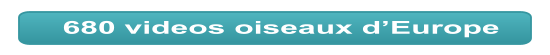 680 videos oiseaux d’Europe