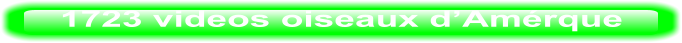1723 videos oiseaux d’Amérque