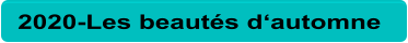2020-Les beautés d‘automne