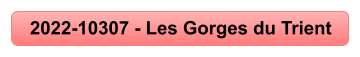 2022-10307 - Les Gorges du Trient