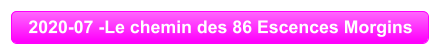 2020-07 -Le chemin des 86 Escences Morgins