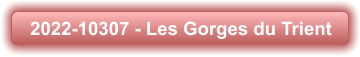 2022-10307 - Les Gorges du Trient