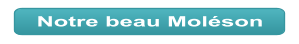 Notre beau Moléson