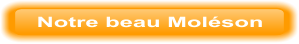 Notre beau Moléson