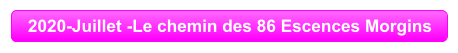 2020-Juillet -Le chemin des 86 Escences Morgins