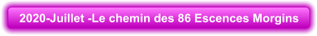 2020-Juillet -Le chemin des 86 Escences Morgins