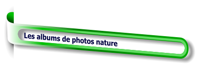 Les albums de photos nature